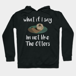 What If I Say I'm Not Like the Otters Hoodie